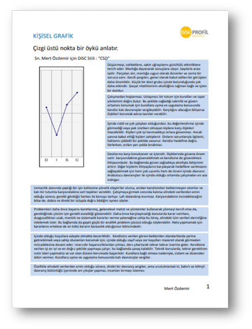 DiSC stili kişisel grafik raporu