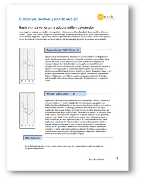 Durumsal davranış grafik analizi raporu